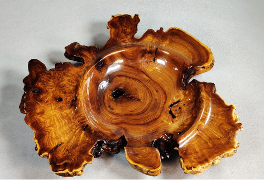 Handcrafted Wooden Bowl Russian Olive Burl Wood